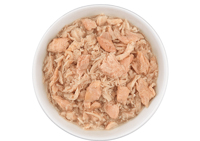 Tiki Cat - Luau - Wild Salmon & Chicken for Cats